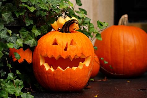 Potatoes and turnips were the original jack-o'-lantern